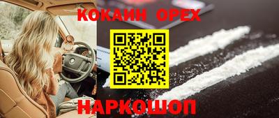молекула духа Краснознаменск