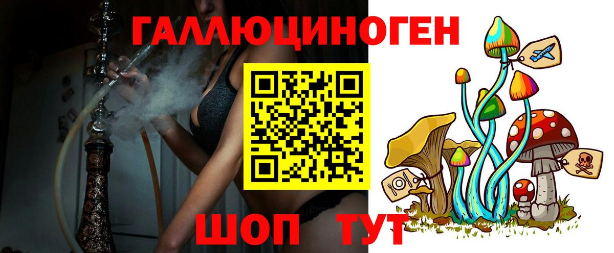 даркнет сайт  Галлюциногенные грибы MAGIC MUSHROOMS  Вход с VPN  Псилоцибиновые грибы прущие грибы  Кинель 